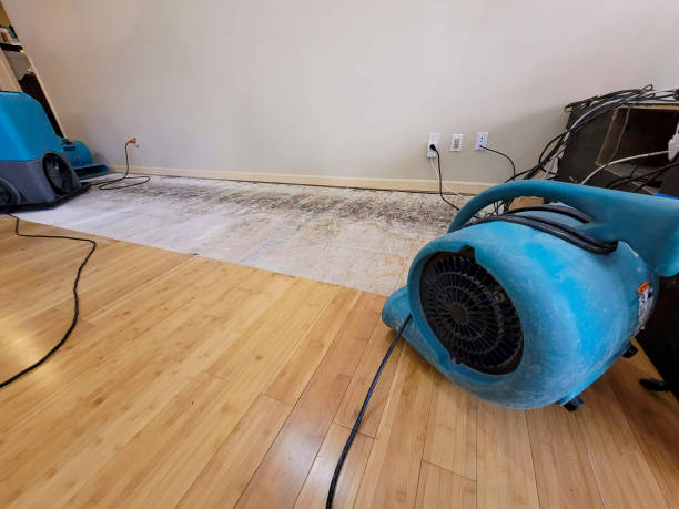 24/7 Emergency Water Damage experts in Charleston, IL