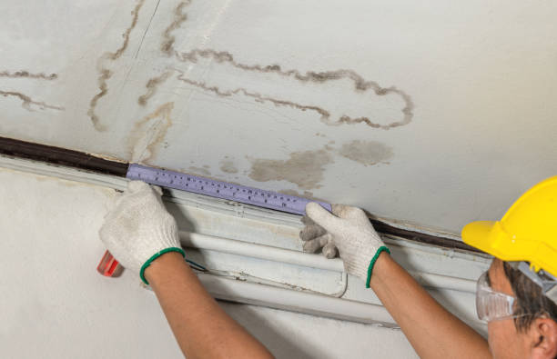 Reliable Water Damage contractor in Charleston, IL by Water Damage Irwin